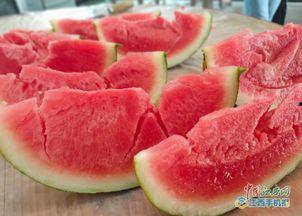 湖坊镇吃瓜,夏日炎炎，吃瓜群众欢乐多