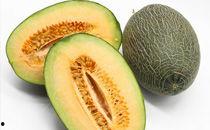 哈密瓜在什么季节吃的