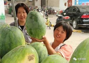 祥和小区吃瓜,吃瓜群众的热闹日常