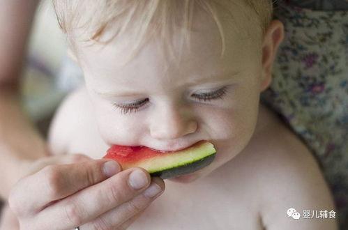 婴儿可以吃无瓜,无瓜营养食谱解析