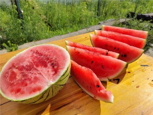 新瓜优选吃瓜天堂,打造吃瓜天堂，畅享美味新体验