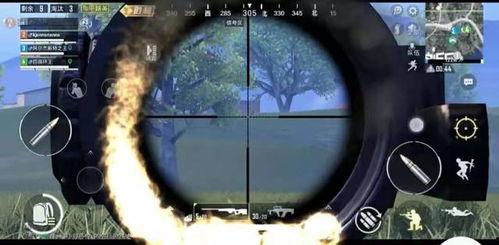 ks吃鸡大瓜,背后真相与幕后故事