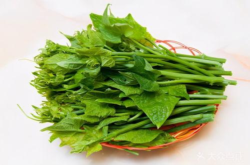 贵州瓜尖怎么吃,解锁美味吃法指南