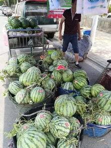 姜堰最新吃瓜事件