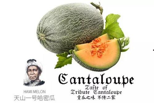 吃蜜瓜休克,揭秘吃蜜瓜休克之谜