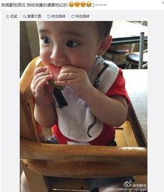 宝宝吃瓜照,萌态十足引网友热议