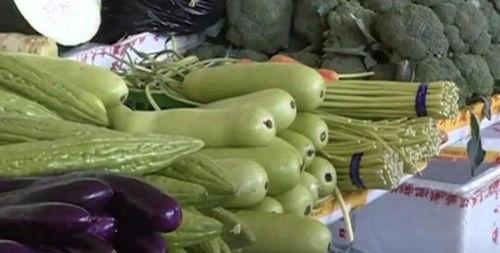 吃小瓜会苦,吃小瓜为何会苦，营养与口感的双重挑战