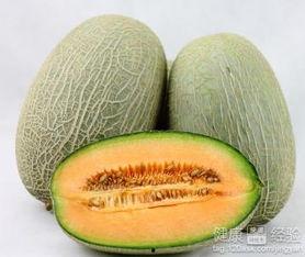 吃哈密瓜流泪,揭秘甜蜜背后的感人故事