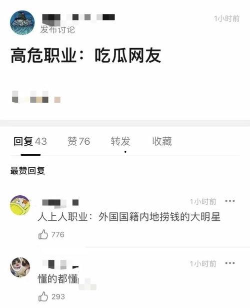 高危职业吃瓜网友,吃瓜网友视角下的真实生活