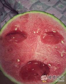 老爸吃瓜不给钱,家庭账单谁来买单？