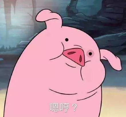 套路猪吃瓜图片大全,套路猪图片大全趣味盘点