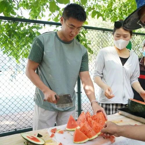 职业学院吃瓜事件,揭秘校园八卦背后的真相