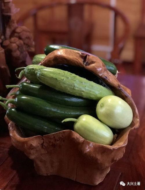 网红吃绿色瓜