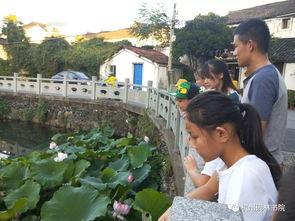 吃瓜观观念,吃瓜群众眼中的明星生活