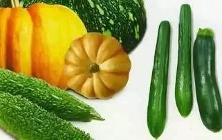 九歌吃瓜,揭秘娱乐圈的瓜田秘闻