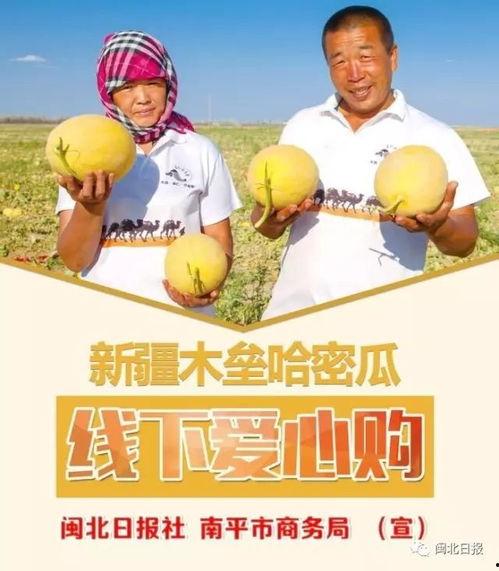 奔向现场吃瓜,奔向瓜田，一探究竟