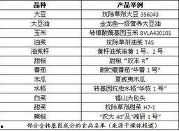 吃瓜小南全文,揭秘娱乐圈背后的故事与真相