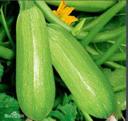 文安吃瓜咋回事